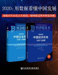 2020：用数据看懂中国发展（经济蓝皮书+社会蓝皮书）