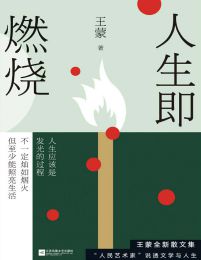 人生即燃烧(epub+azw3+mobi)