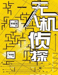 无人机侦探(epub+azw3+mobi)