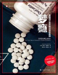 梦瘾：美国阿片类药物泛滥的真相（译文纪实）(epub+azw3+mobi)